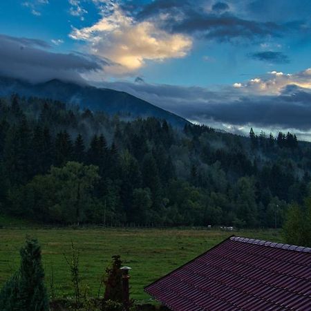 Pensiunea Mara *** Borşa Buitenkant foto