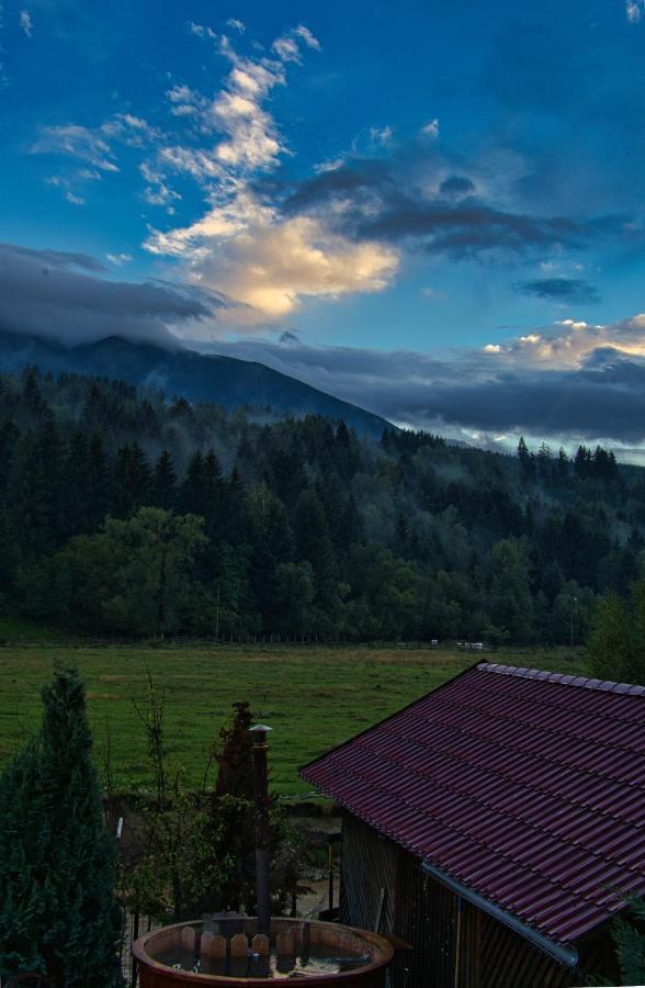 Pensiunea Mara *** Borşa Buitenkant foto