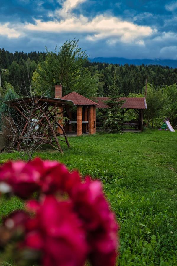 Pensiunea Mara *** Borşa Buitenkant foto